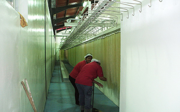 直条米粉生产线